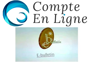 Inscription à E-bulletin Burkina Faso en ligne sur ordinateur et sur mobile