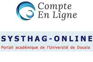 Comment se connecter sur le portail systhag-online ?