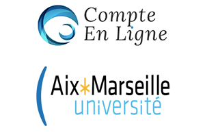 Comment se connecter à l’ENT AMU (Espace de Travali Numérique de Aix-Marseille Université) ?